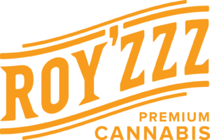 ROYZZZ_orange full logo