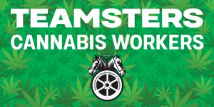 72x36_Banner_Cannabis Workers_B